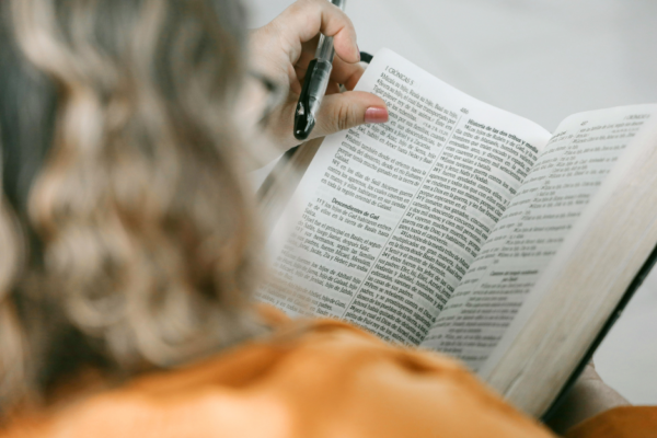 Antiguo-testamento-desde-el-pentateuco-a-la-narrativa-histórica-para Web